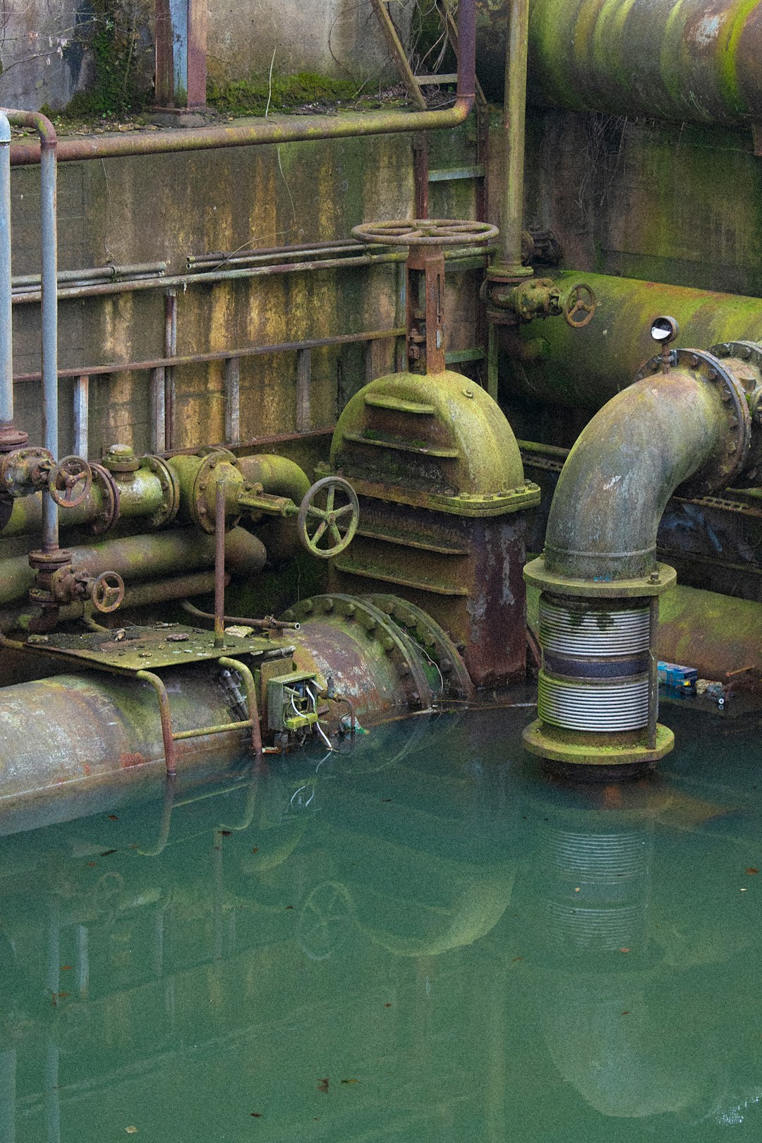A collection of large, rusty pipes are submerged in a murky green pool of water. The pipes are various sizes and shapes, and some are equipped with valves and gauges. The overall atmosphere is one of industrial decay and neglect. Algae or other aquatic plants are growing on the pipes and the concrete walls surrounding the pool, adding to the sense of abandonment.