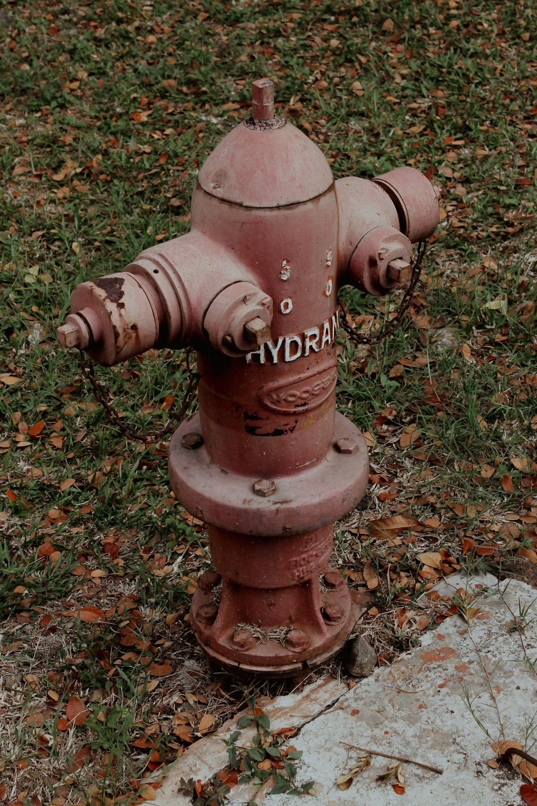 Fire Hydrant